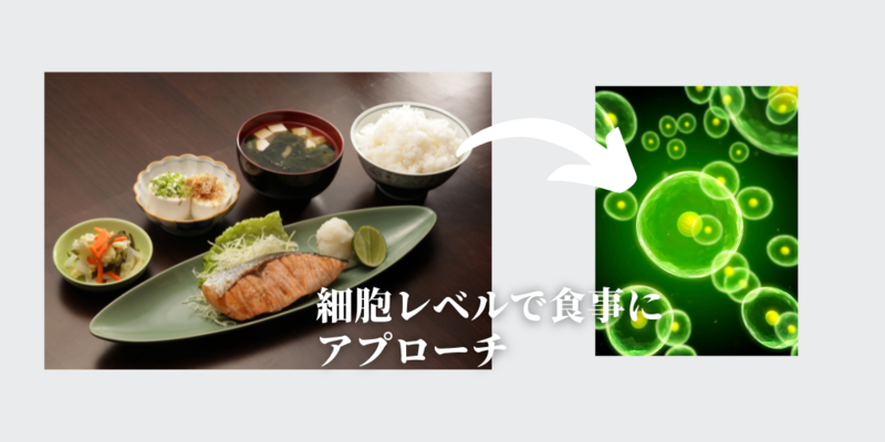 オンラインコラムTOP (48).png